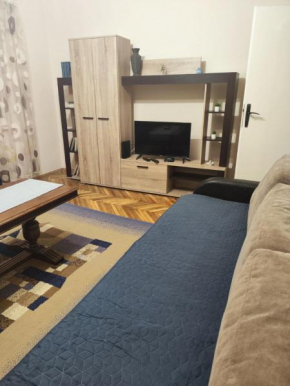 Apartman Nešković